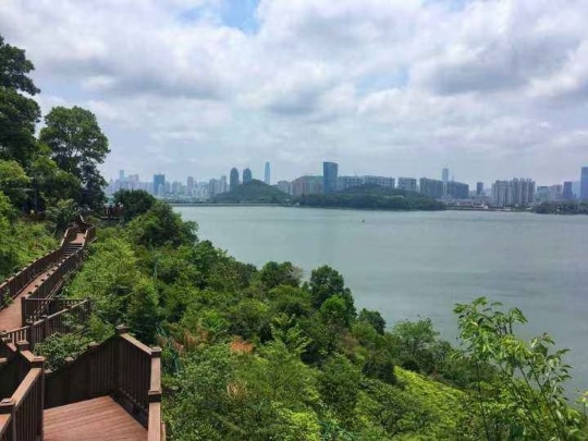 1745207687324004.jpg bd13142320f990bc0fc91c098fe806d4.jpg