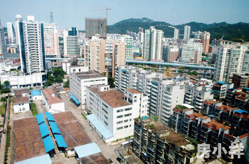 為什么深圳小產權房中，村委統建樓最受歡迎？