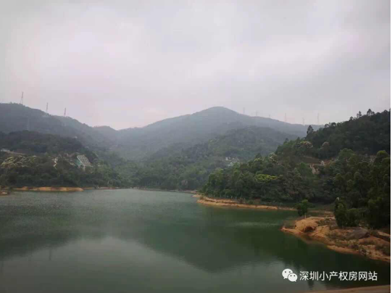 56.8萬入手龍華山水綠園村委統建樓，還在等什么？